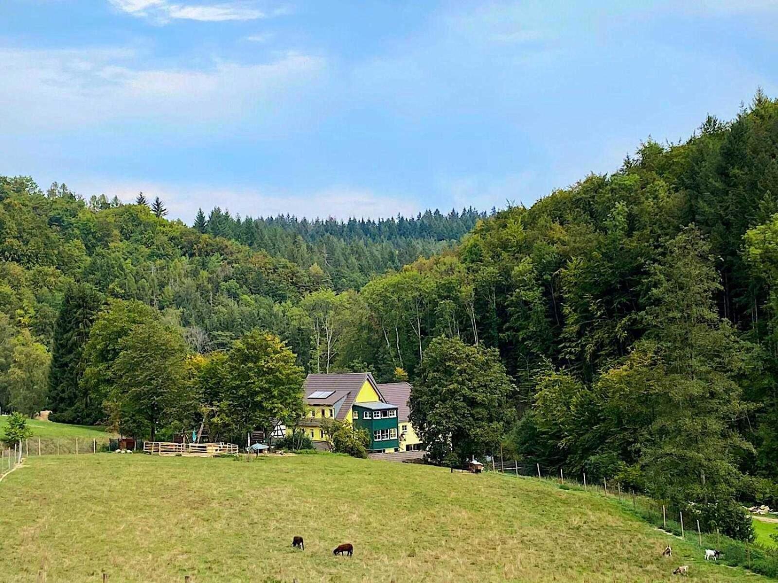 Siegelsbacher Muehle Экстерьер фото